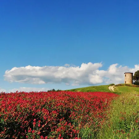 Holiday home Il Fienile By Interhome Bibbona